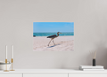 16.8 x 12″, Fine Art Prints Great Blue Heron