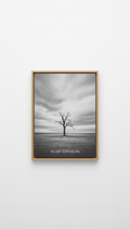 Canvas Print – Silent Exposure
