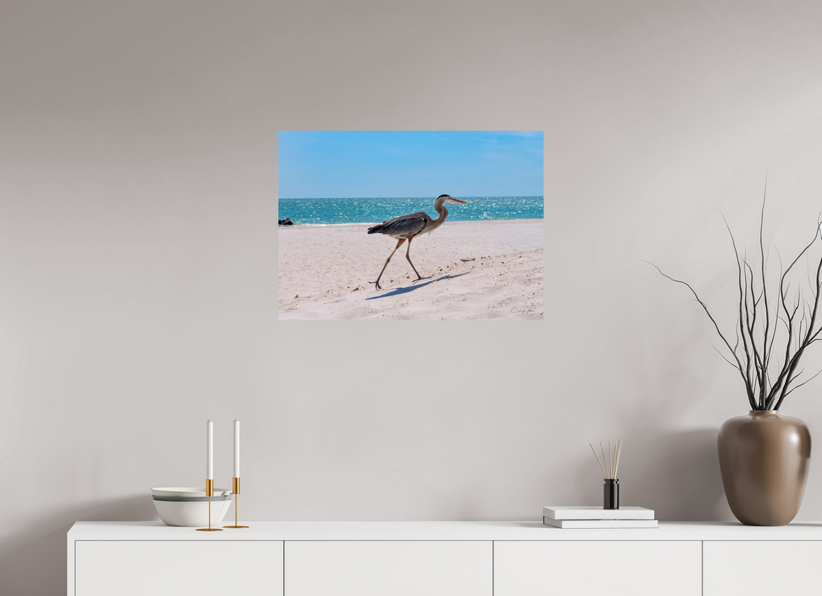 28 x 20″, Metal Print Great Blue Heron