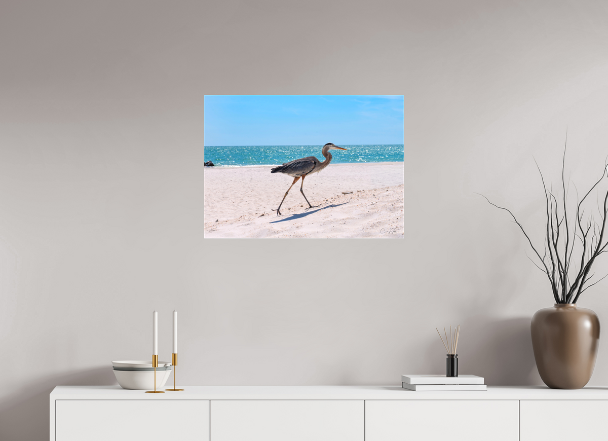 28 x 20″, Canvas Print Great Blue Heron