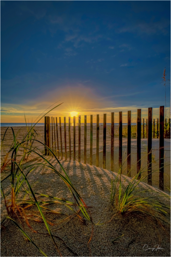 Main image Sand Fence