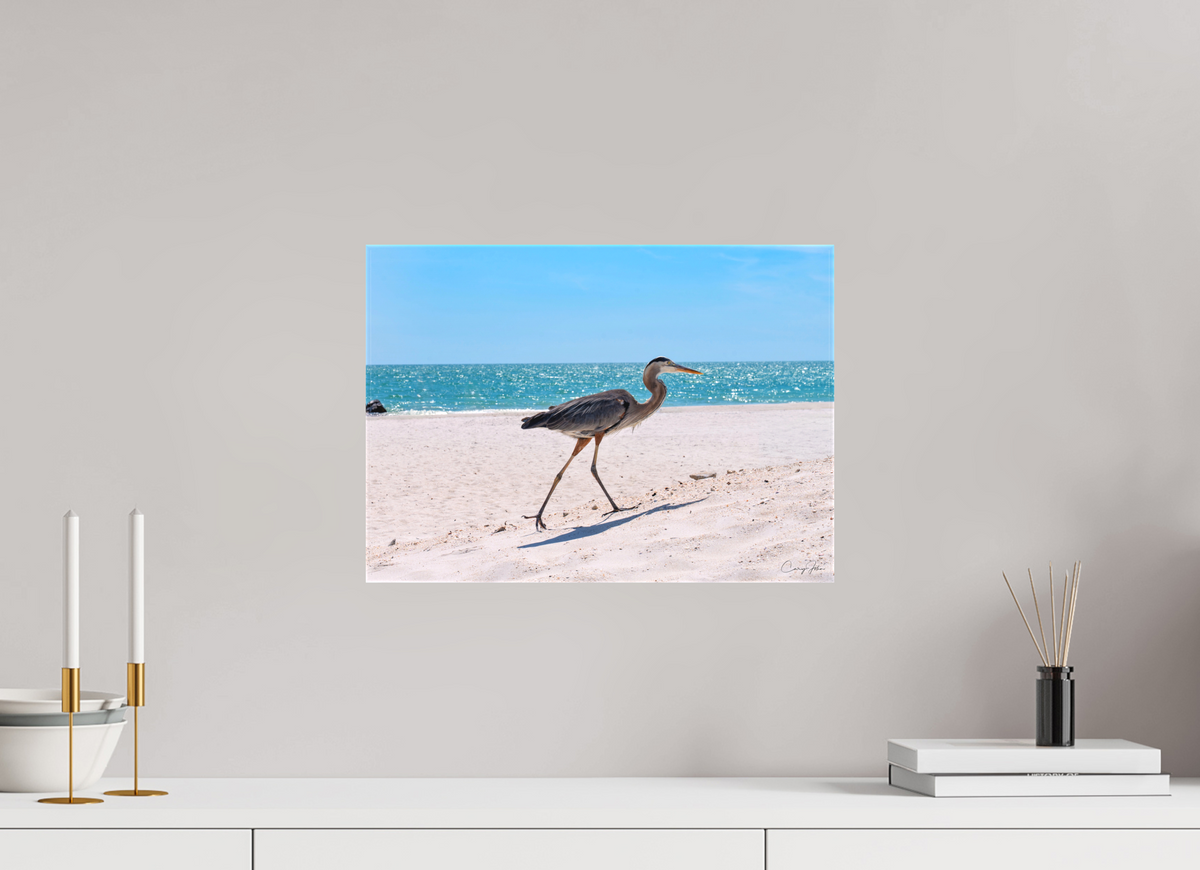 16.8 x 12″, Canvas Print Great Blue Heron