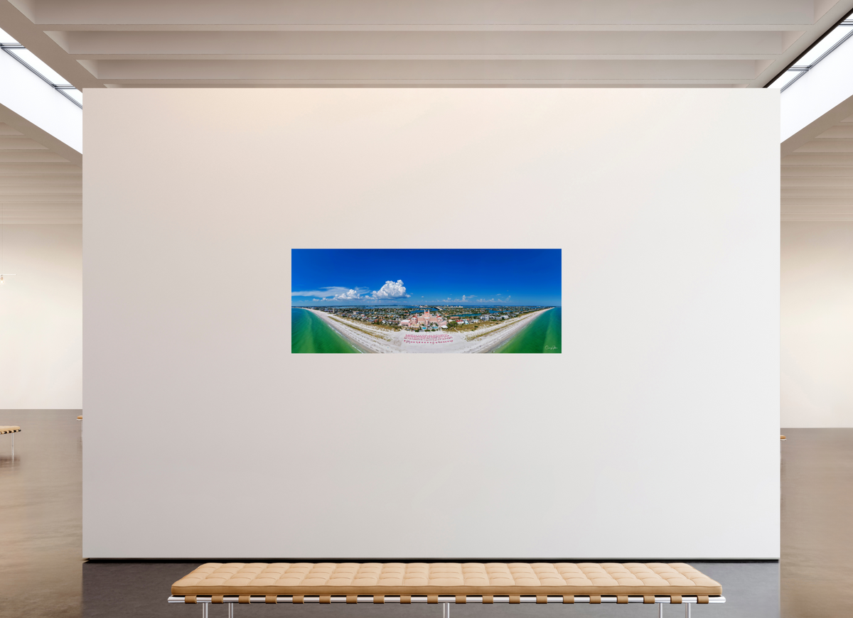 80 x 31″, Metal Print The Don