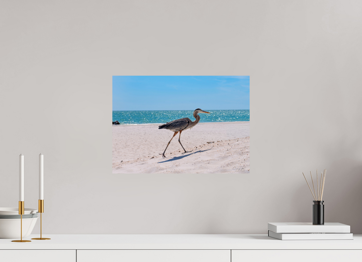 16.8 x 12″, Metal Print Great Blue Heron
